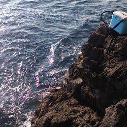 伊根の地磯でロックフィッシング　結果は…