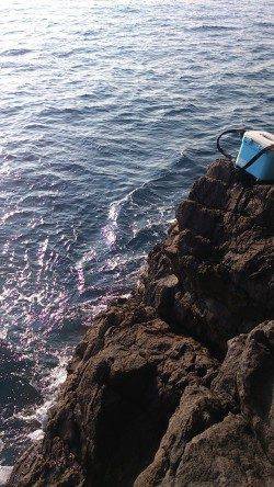 伊根の地磯でロックフィッシング　結果は…