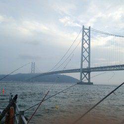 アジュール舞子～西舞子　夜の大サバは一段落か