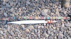 煙樹ヶ浜でショアジギング〜ドラグを鳴らしたのは103cmのダツ