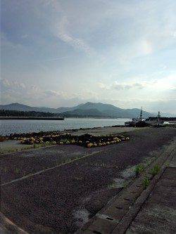 和田　厳しい状況の中でもキス26cmの姿も