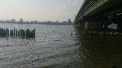 淀川河口　ルアーで狙うハゼゲーム