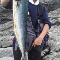 小浦にて磯でのルアー釣りに初挑戦〜シイラ８０㎝ゲット！