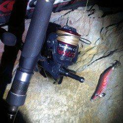 城ヶ崎にてエギングでアオリイカ、足元でヒットしました