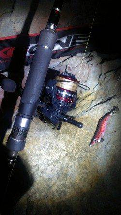 城ヶ崎にてエギングでアオリイカ、足元でヒットしました