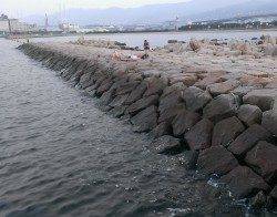 南芦屋浜にてウキ釣りでチヌ・グレの釣果