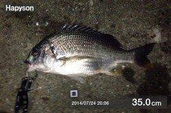 舞洲周辺チニング〜日が落ちてからバイト増え釣れ出しました