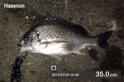 舞洲周辺チニング〜日が落ちてからバイト増え…