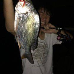 淀川河口でチニング　ボトムのズル引きで良型のキビレ&マチヌ