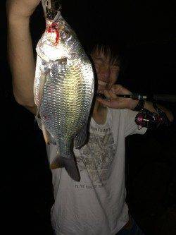 淀川河口でチニング　ボトムのズル引きで良型のキビレ&マチヌ