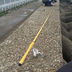 大阪南港周辺でのエビ撒き釣り釣果です