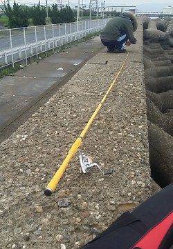 大阪南港周辺でのエビ撒き釣り釣果です