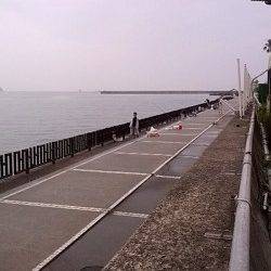 和歌山マリーナシティ　サビキでアジ楽しめる　飲ませでヒラメ35cmも