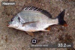 舞洲周辺チニング〜日が落ちてからバイト増え釣れ出しました