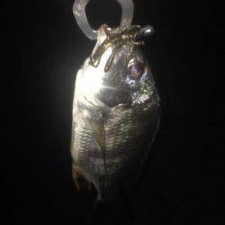 汐見埠頭周辺フォールでヒット楽しいです！〜チニングにGOGO