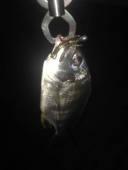 汐見埠頭周辺フォールでヒット楽しいです！〜…