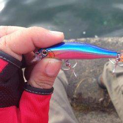 早瀬　ナブラが寄らず苦戦もハマチクラスのツバスゲット