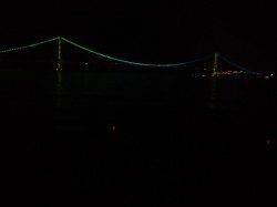 大蔵海岸、電気ウキを使っての夜釣り　サバの引きを楽しめました