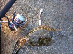 河口サーフエリアでフラットフィッシュ狙い！…