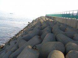 りんくう周辺アジ狙いは姿見えず・・・潮止まり寸前にサバをゲット