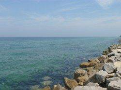 淡路島・津井でのちょい投げでキス40匹