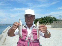 洲本にてキスの投げ釣行、ピンギス〜23cmを40匹