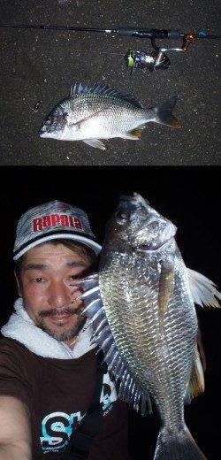 大阪南港　一週間ぶりのチニング釣行は二桁釣果