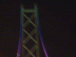 仮屋にて夜の投げ釣りでアナゴ、日中のキス狙いはベラメインでした