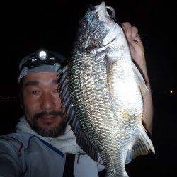 岸壁ＳＬＫでマチヌ釣りました♪