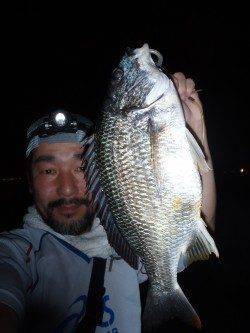 岸壁ＳＬＫでマチヌ釣りました♪