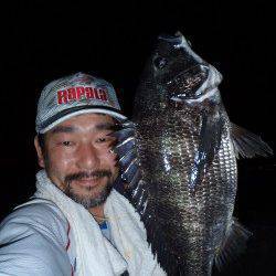 岸壁ＳＬＫでマチヌ釣りました♪