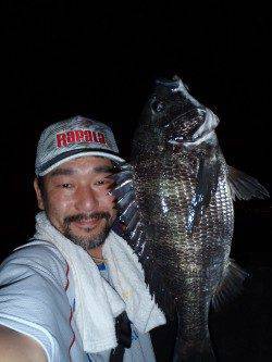 岸壁ＳＬＫでマチヌ釣りました♪