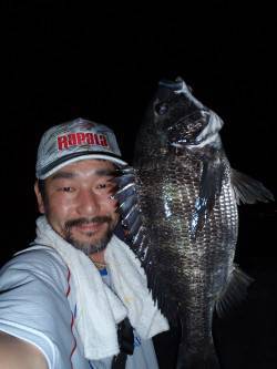 岸壁ＳＬＫでマチヌ釣りました♪