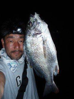 舞洲にて岸壁スーパーライトクロダイ・キビレゲーム