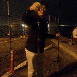 兵庫突堤　穴子メインでタチウオも狙う