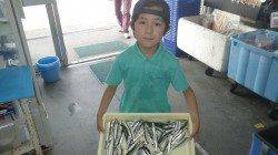 お子様サビキ釣果！初めて一人で釣りました！