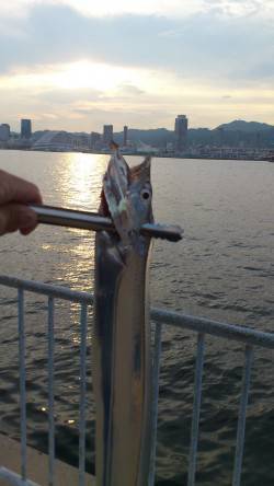 兵突満員でポーアイ北公園にてワインド〜なん…