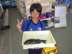 みなべ堺漁港にて見事グレを釣りました！お子様の釣果