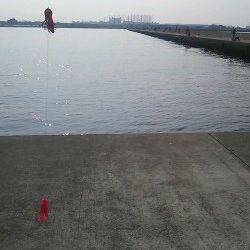 西宮浜　オクトパッシングでタコ狙いも1パイの釣果