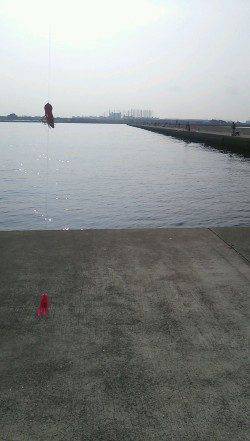 西宮浜　オクトパッシングでタコ狙いも1パイの釣果