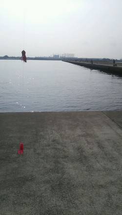 西宮浜　オクトパッシングでタコ狙いも1パイ…