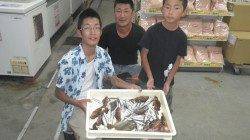 芳養堤防　ズボ釣りでガシラ・カワハギ・イワシの釣果