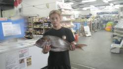 みなべ沖磯大島にて夜釣りでマダイ70.5c…