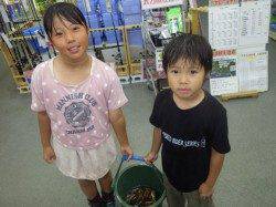 みなべ一本松堤防　ブラクリとサビキでガシラ・ベラ・シマアジ