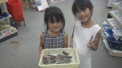 みなべ堺堤防にてブラクリ　タコ・ガシラ釣れました♪