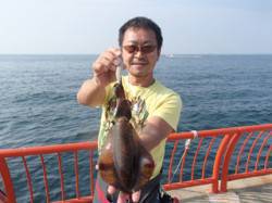 平磯海づり公園　エギングでアオリイカをキャ…