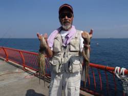 平磯海づり公園　タコテンヤ＋鳥皮で良型タコ…