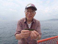 平磯海づり公園　投げでベラが数釣れています