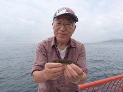 平磯海づり公園　投げでベラが数釣れています…