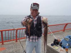 平磯海づり公園　タコ掛で800g&…